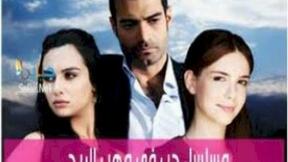 حلقات مسلسل حب في مهب الريح