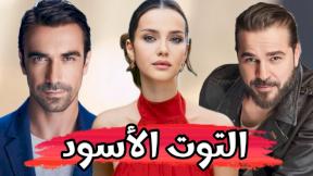 حلقات مسلسل التوت الأسود