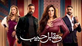 مسلسل وتقابل حبيب الحلقة 16